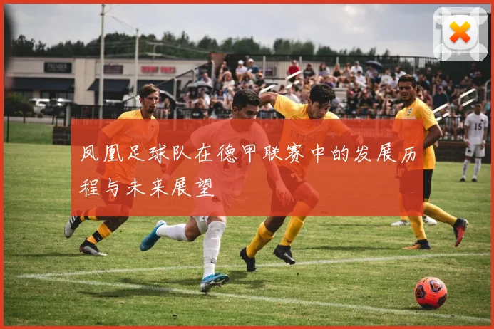 凤凰足球队在德甲联赛中的发展历程与未来展望