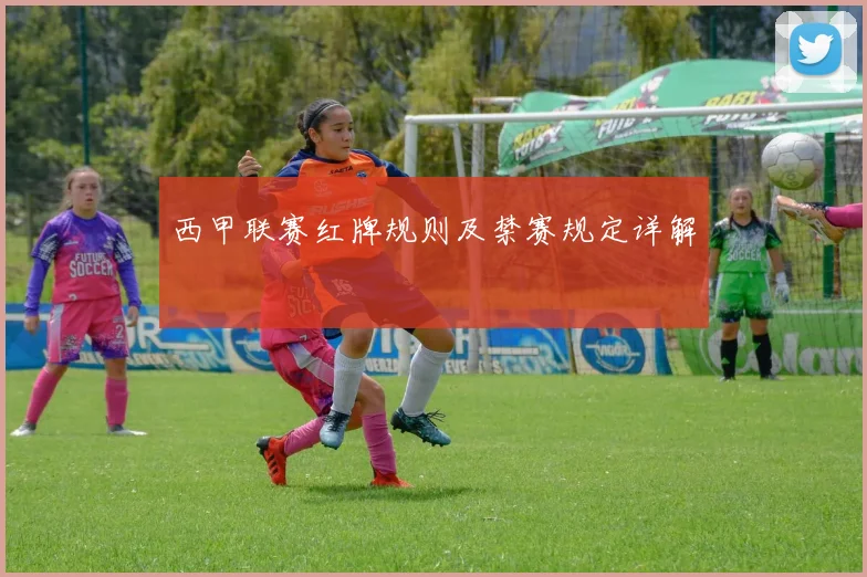西甲联赛红牌规则及禁赛规定详解