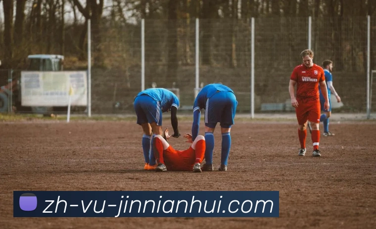 App Interface Preview