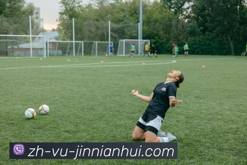 金年会体育APP 封面图